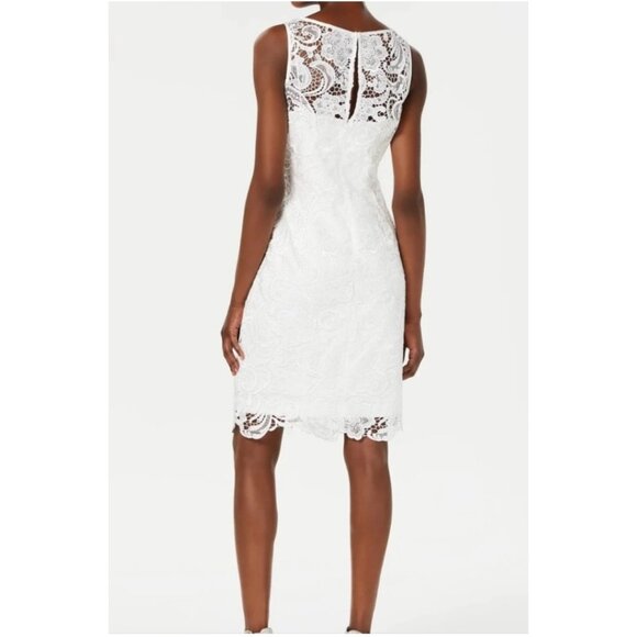 Adrianna Papell Ivory Lace Sheath Dress Illusion Neckline Size 10 NWT - Picture 2 of 16